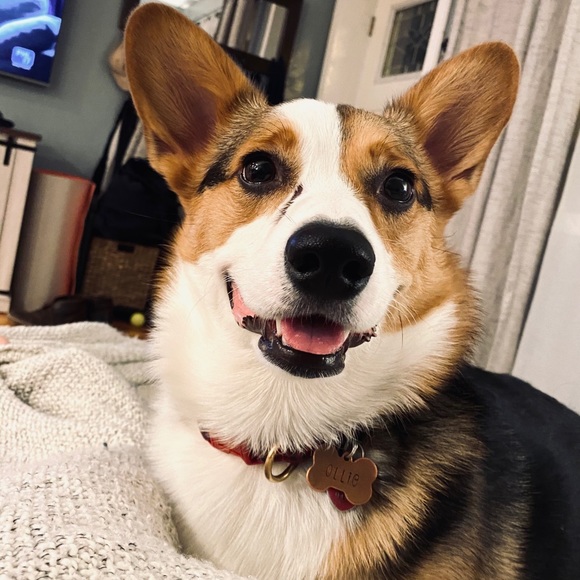 Meet your Posher, Jessica - Picture 1 of 1